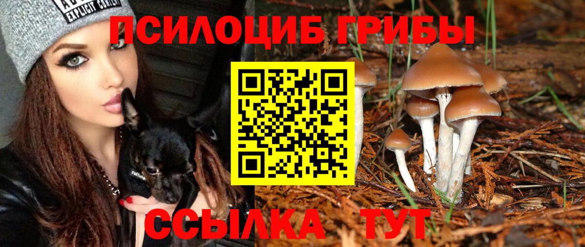 Псилоцибиновые грибы MAGIC MUSHROOMS  закладки  Пермь  Вход с VPN 